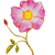 Masajes
